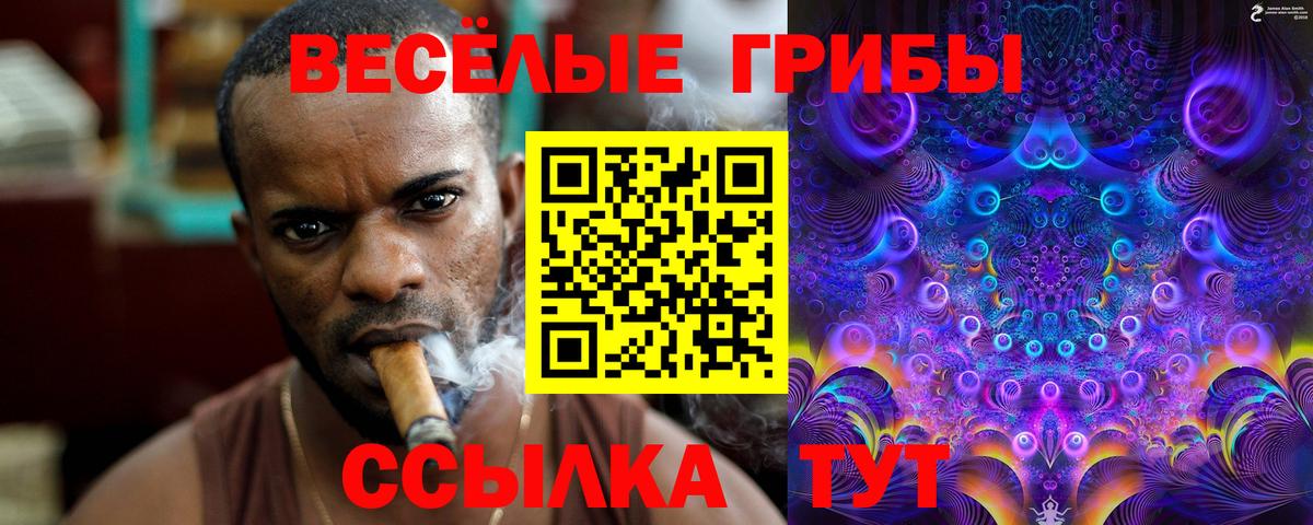 Галлюциногенные грибы MAGIC MUSHROOMS Губаха