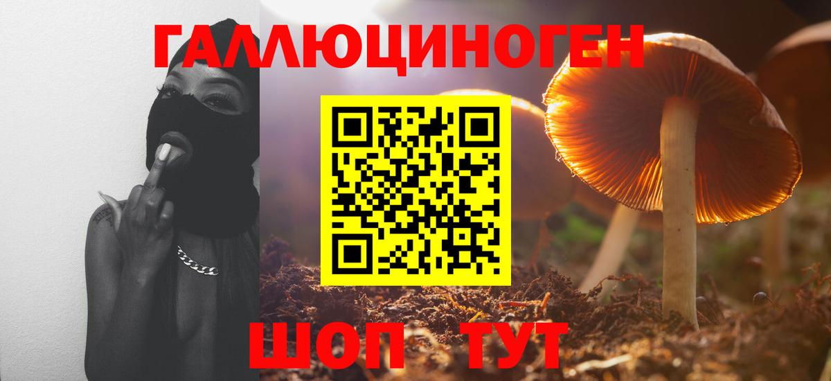 Галлюциногенные грибы Magic Shrooms  Вход с VPN  Губаха 